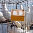 thumbnail image 1 of unbranded 3Ud Alimentador Para Pájaros De Plástico Resistente Para Jaula Color Café Fácil De Limpiar, 1 of 8