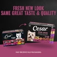 thumbnail image 5 of (2 pack) Cesar Wet Dog Food Steak Lovers Variety Pack, Real Meat Wet Food for Dogs, 36 Count, 5 of 15