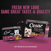Cesar Wet Dog Food Steak Lovers Variety Pack, Real Meat Wet Food for Dogs, 36 Count