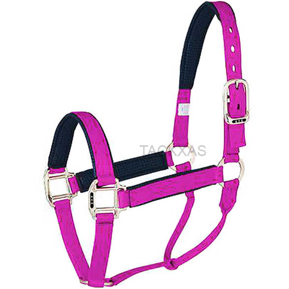 Hot Pink Hilason Padded 1 Inch Nylon Horse Halter With Brass Plated