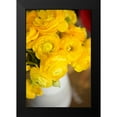 thumbnail image 2 of Millet, Karyn 17x24 Black Modern Framed Museum Art Print Titled - Yellow Ranunculus, 2 of 5