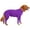 Purple, variant on Dog Puppy Pajama, Fashion Casual Elastic Soft Skin-friendly Cozy Winter Warm Sleepwear SportswearJumpsuit Pet Clothes Costume for Small Medium Large Dog Daily Wear