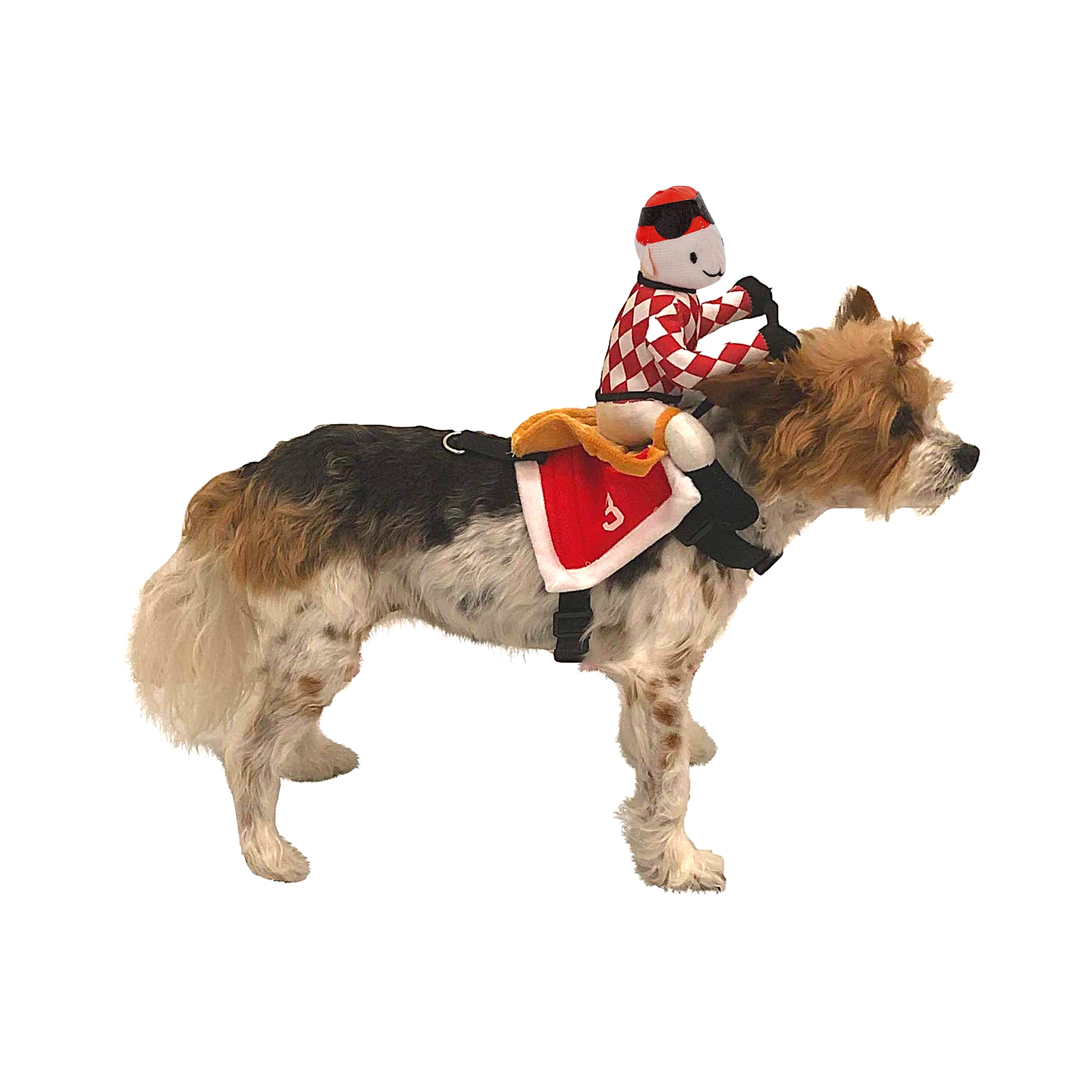 Midlee Red Jockey Dog Costume (Small)