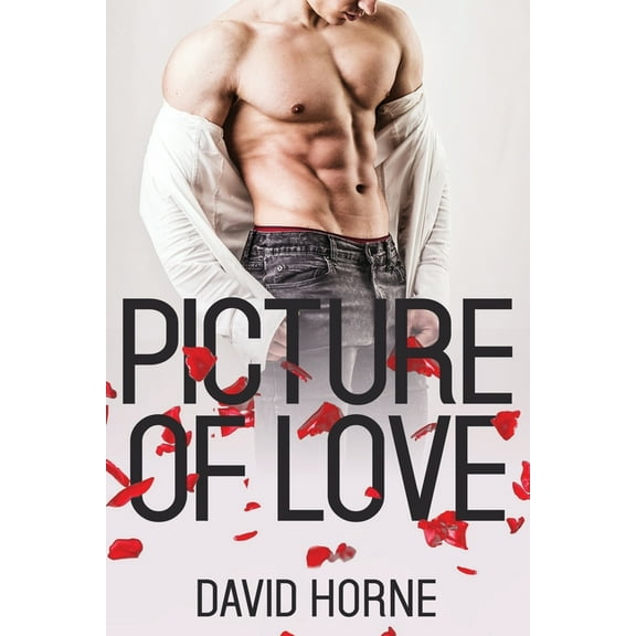 Picture of Love (Paperback)