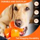thumbnail image 2 of Dispensador de Golosinas BIONIC Alta Visibilidad Ideal para Masticar para Perros, 2 of 7