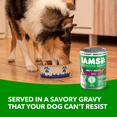 thumbnail image 2 of IAMS Proactive Health Beef, Rice, Carrots & Green Beans Adult Wet Dog Food, 2 of 13