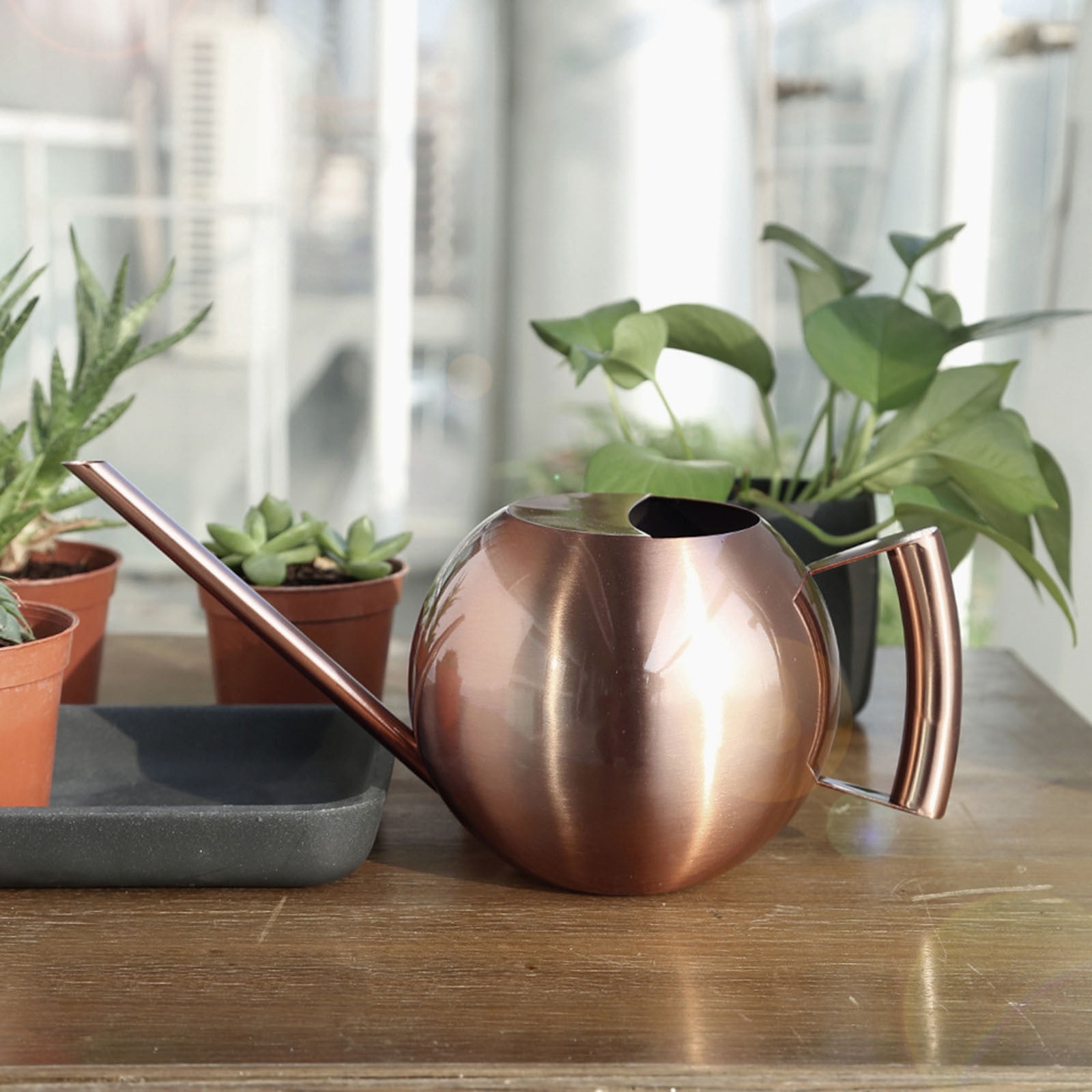 Jubipavy Stainless Steel Watering Can - 1L Metal Watering Can With Long Spout To Spillage Perfect Plant Watering Can For Outdoor And Indoor Plants Gift Home Saving