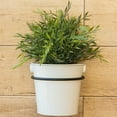 thumbnail image 2 of Support de Plante en Fer 3 Pcs Portable Pré-Percé Double Trou Remplacement Mural Rond Balcon Pot de Fleurs Support 20CM Pliable, 2 of 9