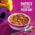 thumbnail image 4 of Kellogg's Raisin Bran Giant Size Cereal, 4 of 5