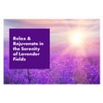 thumbnail image 4 of Arm & Hammer Plug-In Air Freshener Kit with Oil Warmer and 4 Refills, Lavender Fields Scent, 4 of 7