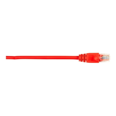 UPC: 0822088050230 | Black Box – Patch cable – RJ-45 (M) to RJ-45 (M) – 1 ft – UTP – CAT 5e – molded  snagless  stranded – red