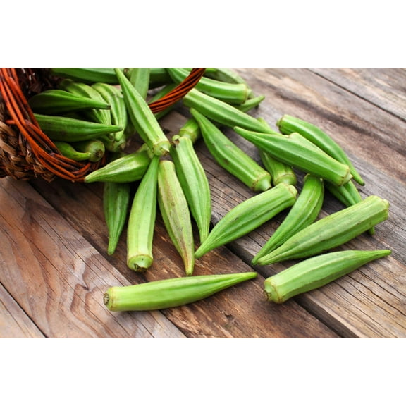 150 EMERALD GREEN Velvet OKRA Spineless Abelmoschus Esculentus Vegetable Seeds