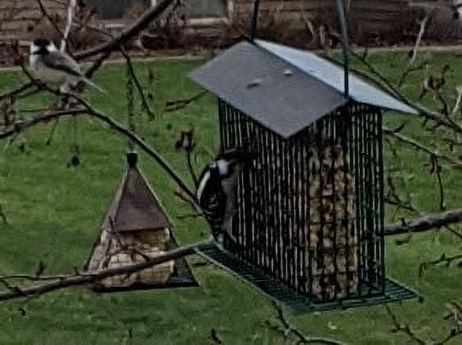 Wildlife Sciences Woodpecker Crunch Seed Cake