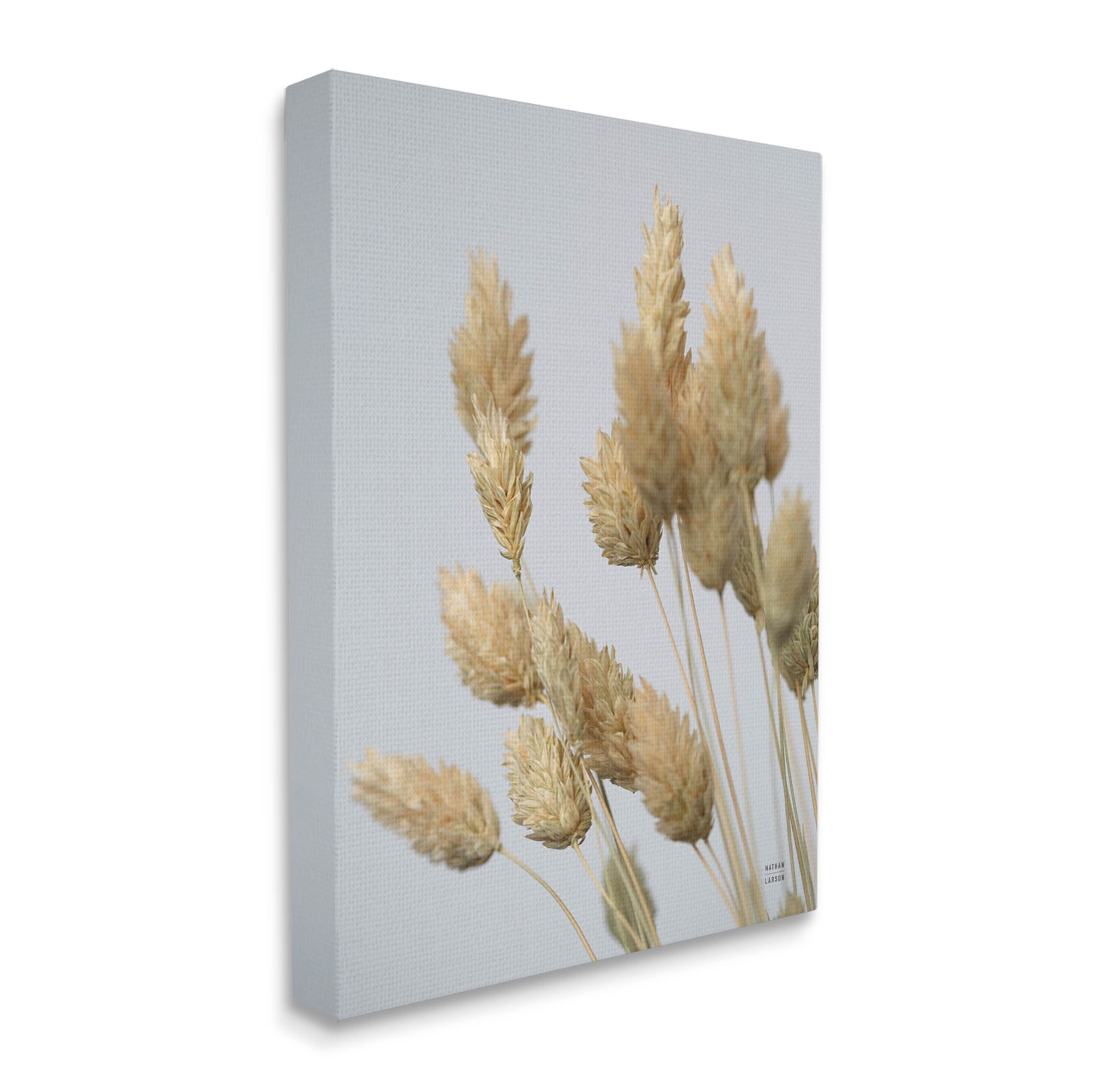 Stupell Industries Calm Pampas Grass Breezy Sky Photograph Gallery Wrapped Canvas Print Wall Art, Design by Nathan Larson