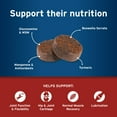 thumbnail image 4 of Pet Protect Synovi G4 Hip & Joint+ Supplement for Dogs 240 Chews, 4 of 8