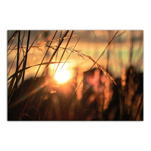 Creative Products Sunset Wheat 48x32 Canvas Wall Art
