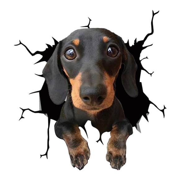 Pegatinas para perros Calcomanías para autos Regalo para mascotas Pegatinas estáticas Durable 3D Ventana divertida Se aferra para el baño del inodoro D perfecl Pegatinas de ventana