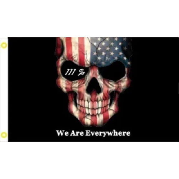 3X5 WE ARE EVERYWHERE BETSY ROSS DEMON SKULL FLAG
