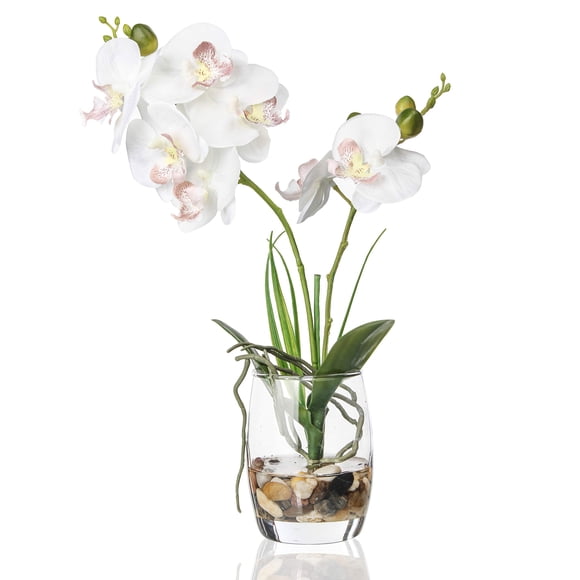Bonsái artificial de orquídea en jarrón de vidrio Jusdreen