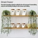 thumbnail image 5 of Naiovety Planta artificial Eucalipto Plantas colgantes decorativas Vid En maceta Hojas verdes Jardín Oficina Guirnalda Uva Estante Decoración Gris, 5 of 6