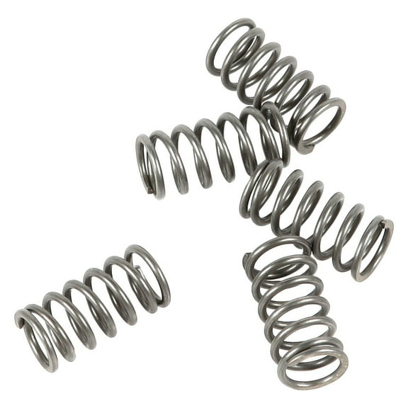 EBC - CSK Series Heavy Duty Clutch Spring Kit