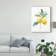 thumbnail image 3 of Trademark Fine Art 'Floursack Lemon IV on White' Canvas Art by Danhui Nai, 3 of 4