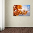 thumbnail image 3 of Trademark Fine Art 'Soul Colors' Canvas Art by Philippe Sainte-Laudy, 3 of 3