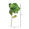 thumbnail image 2 of Vickerman OF160313 Lime Hibiscus Flower Stem, 23 & 8 in., 2 of 3