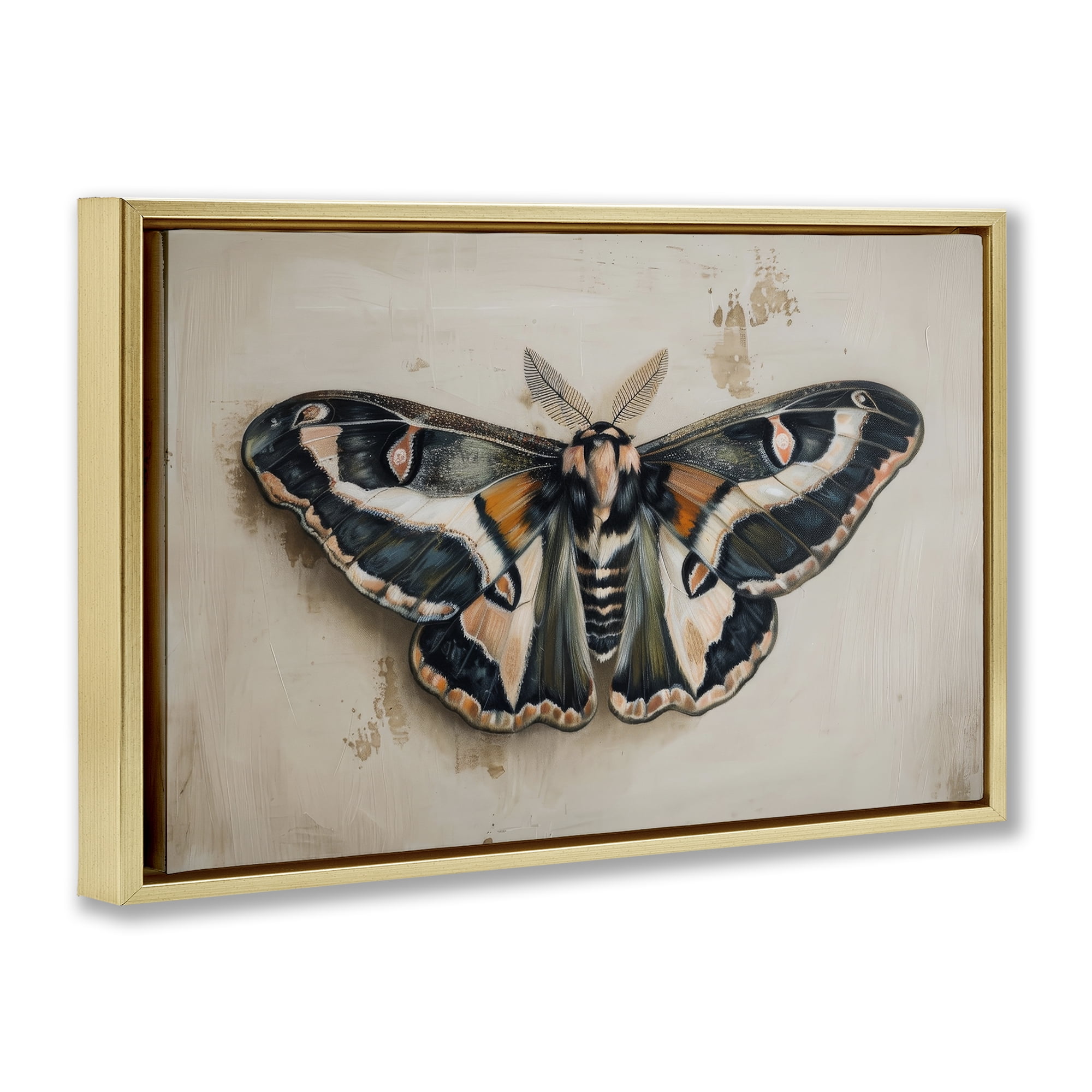 Stupell Industries Dark Winged Moth Animals Painting Gold Floater Framed Canvas Art Print Wall Art, 25 x 17