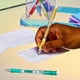 thumbnail image 5 of Paper Mate Portaminas de Punta Transparente, 0,7 Mm, N.º 2, Barriles Modernos, 2 Unidades, 5 of 6