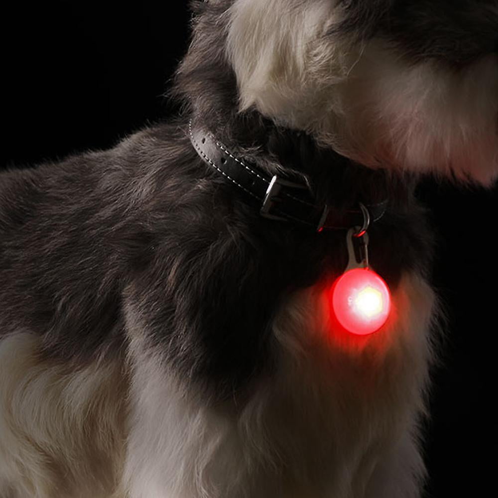 Dog Lights For Night Walking Clip On Usb Rechargeable Dog Collar Light Walmart