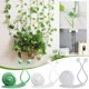 thumbnail image 1 of Clips de pared para plantas trepadoras verdes - 1 paquete de ganchos adhesivos que no dejan marcas para enredaderas e hiedra - Fijadores fuertes y suaves para apoyar el crecimiento - Uso en, 1 of 4