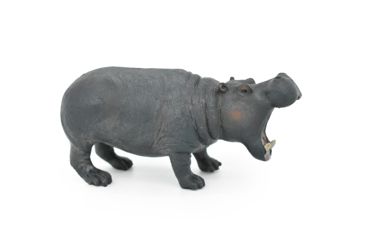 Warmtree Simulated Hippo Model Realistic Plastic Hippo Figurines Action  Figure for Kids' Collection Science Educational Toy, Set of 5 price in UAE,  UAE