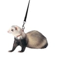 thumbnail image 1 of Juego de arneses y correas para hurones Marshall, ajustable, 1 m, nailon, 1 of 2