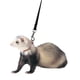 thumbnail image 1 of Juego de arneses y correas para hurones Marshall, ajustable, 1 m, nailon, 1 of 2