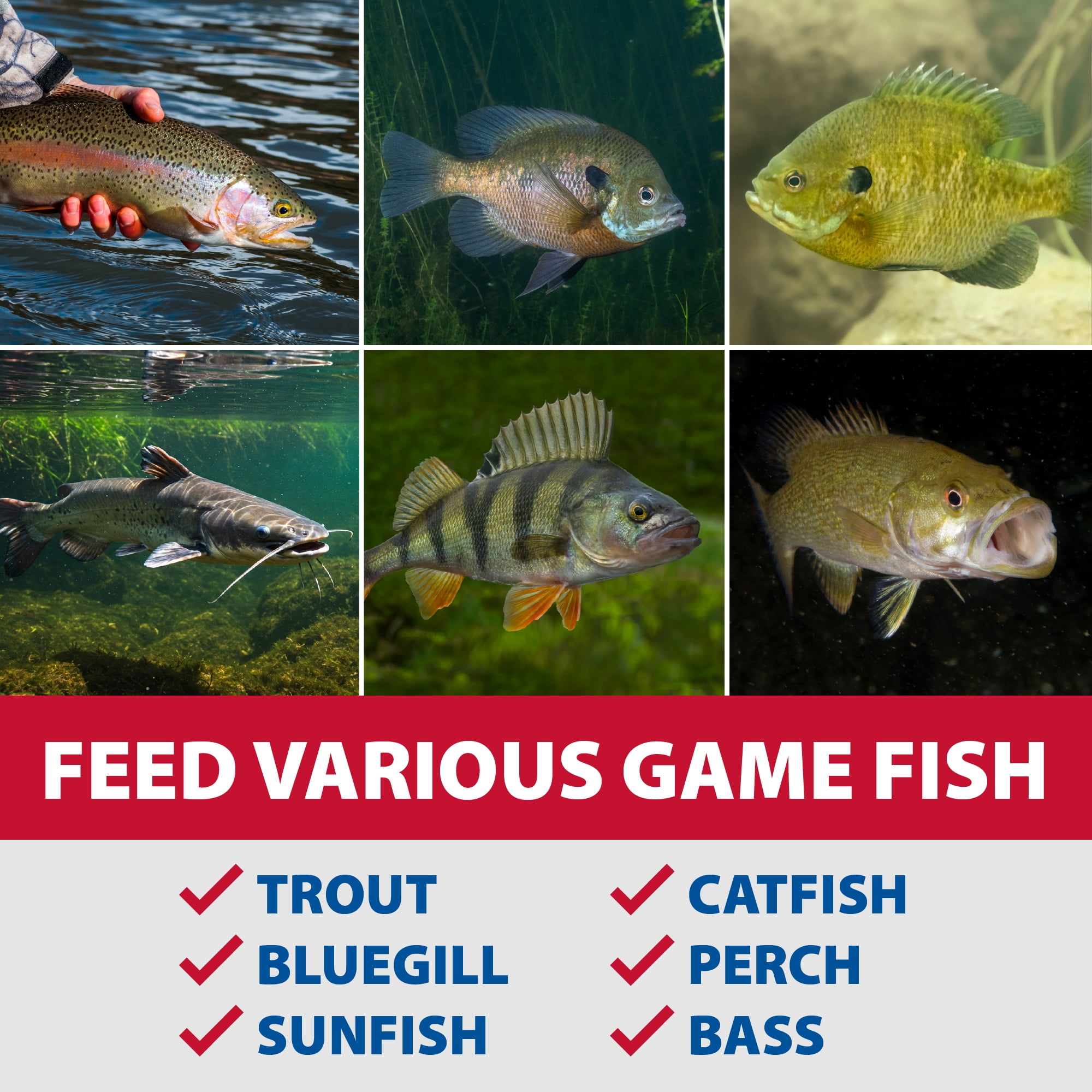 The Pond Guy  Game Fish Grower Fish Food