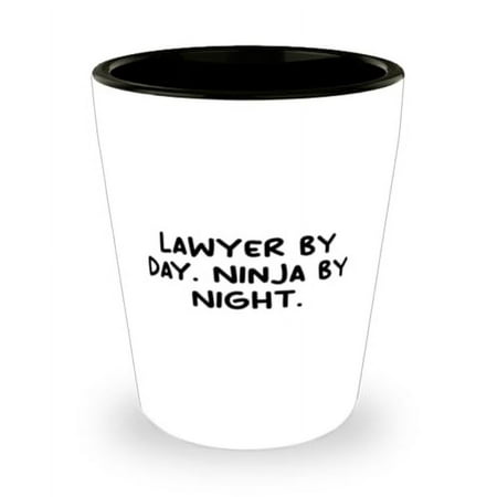 

Unique Lawyer Gifts Lawyer by Day. Ninja by Night Funny Birthday Shot Glass For Coworkers Ceramic Cup From Friends