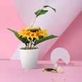 thumbnail image 4 of FONDOTIN Artificial Sunflower Decor - Realistic in Assorted Colors, Plastic Home & Office Decoration, 4 of 6