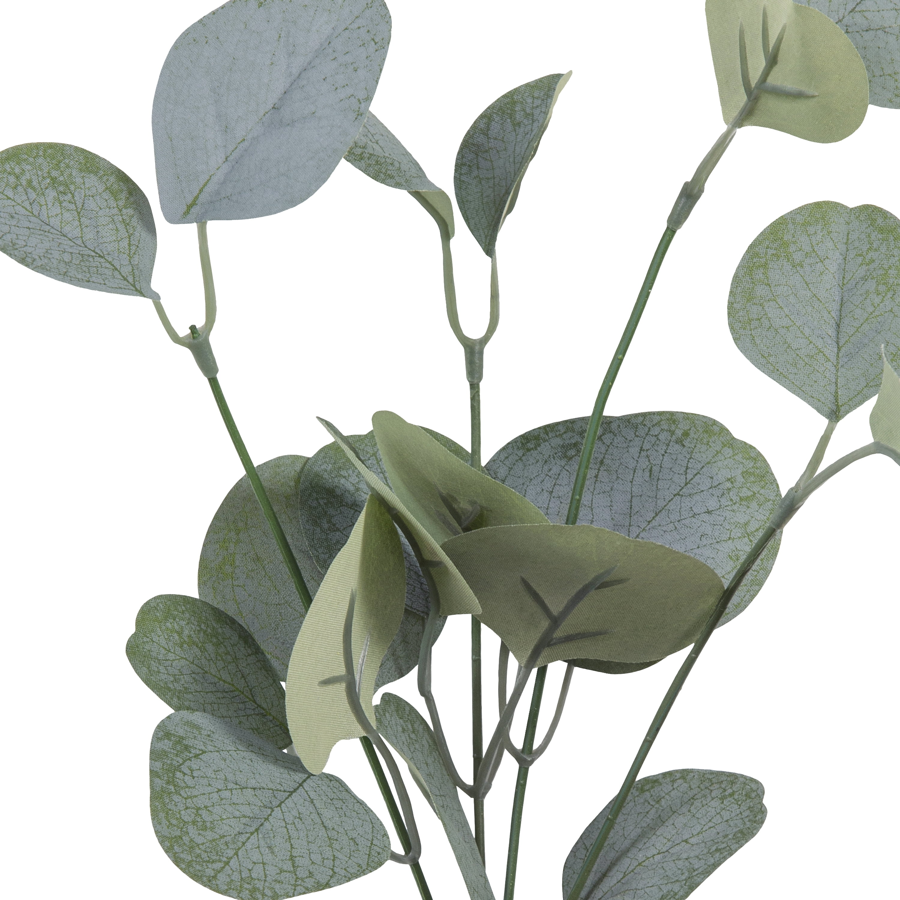 13-inch Artificial Silk Green Silver Dollar Eucalyptus Greenery Pick, for Indoor Use, by Mainstays