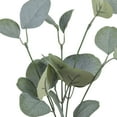 thumbnail image 5 of (4 pack) 13-inch Artificial Silk Green Silver Dollar Eucalyptus Greenery Pick, for Indoor Use, by Mainstays, 5 of 9