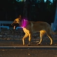 thumbnail image 6 of Miaocao 2 Packs Light Up Dog Collar, LED Dog Collar, USB Rechargeable Dog Lights for Night Walking, Adjustable Glow in The Dark Collars for Small Medium Large Dogs, Waterproof Safety Pets Lights, 6 of 8
