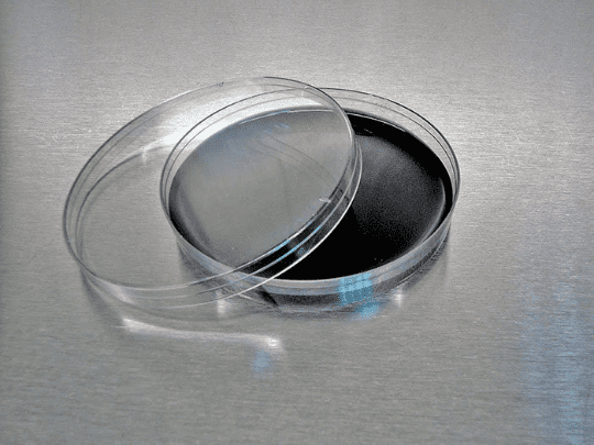 Black Agar - Activated Carbon Agar Plates For Mushroom Cultures | Great for Showcasing Mycelium