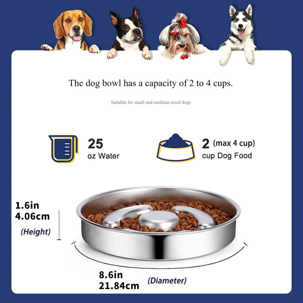 Pet Slow Feeder Dish Stainless Steel Feeding Bowl Dishwasher Safe For Small Puppy and Kittens