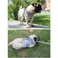 thumbnail image 3 of Yuedong Cat Dog Adjustable Harness Vest,Outdoor Pet Dog Vest with Reflective Leash,Muti-color and size, 3 of 21