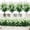 White Setaria, variant on 4 Bundles Artificial Plant Flowers for Outdoors - UV Resistant Fake Plastic Greenery Shrubs Faux Plants - Indoor Outside Garden Window Box Planters Porch Home Indoor Decoration