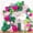 Hot Pink Green, variant on 157pcs Tropical Balloons Arch Garland Kit, Hawaiian party Decor | Luau Summer Party Decorations Hot Pink Dark Green Orange Palm Leaves Balloons for Aloha Flamingo Baby Shower Birthday Decor