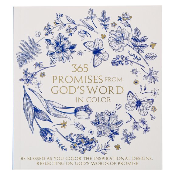 Pre-Owned 365 Promises from God's Word in Color (Paperback) 0638000319 9780638000313
