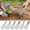 6Pcs Portable Garden Sieve Under $5 a1, variant on Yannianjz Garden Sieve, Portable Stainless Steel Gardening Tool, Compost Sifter and Sand Screen, for Soil Screening, Planting, Composting