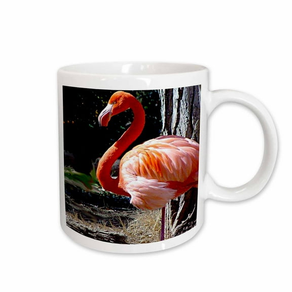 3drose, Flamingo, 11oz Mug