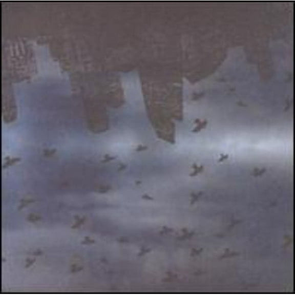 Dispensing of False Halos - Growing Up - Music & Performance - CD